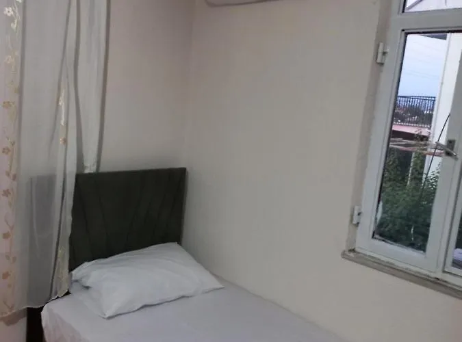 Adventurous Local Φετιγιέ