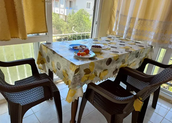 Adventurous Local Φετιγιέ