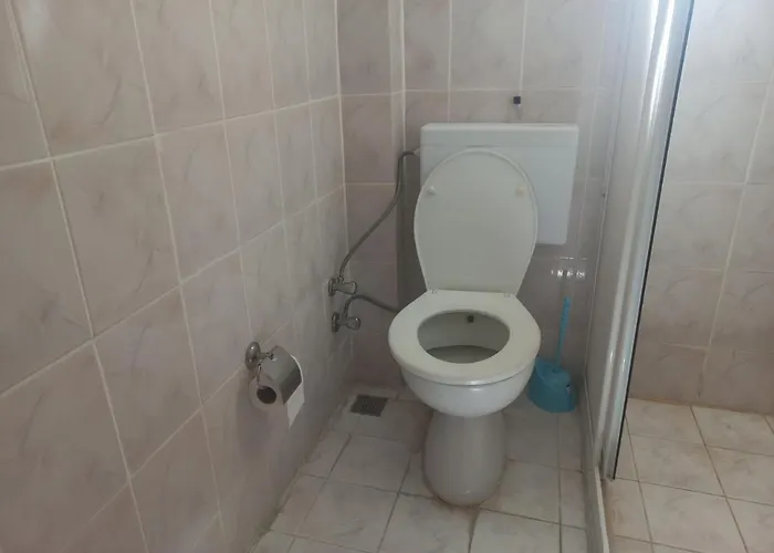 Adventurous Local Φετιγιέ