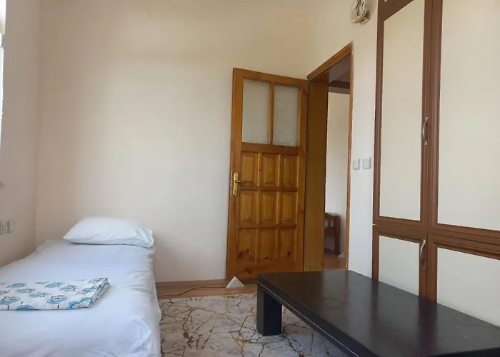 Adventurous Local * Φετιγιέ