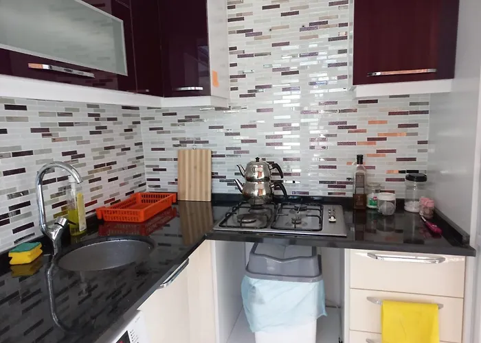 Adventurous Local Hostel *