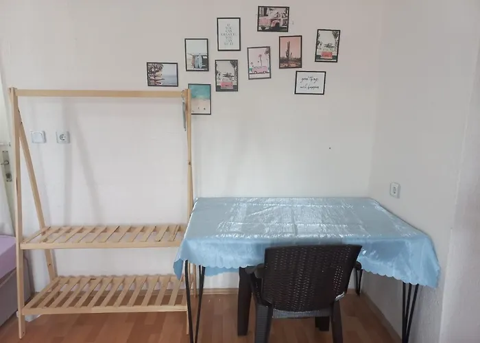 Hostel Adventurous Local