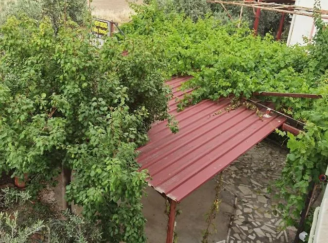 Adventurous Local Hostel Φετιγιέ