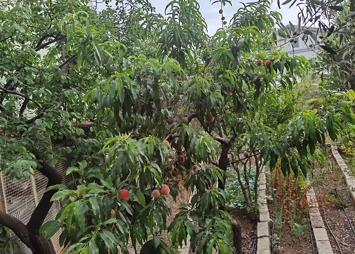 Hostel Adventurous Local