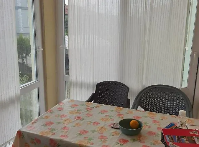 Adventurous Local Hostel