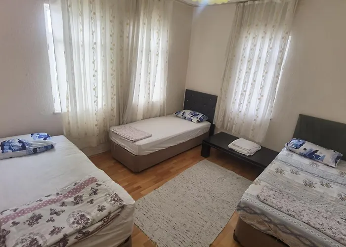 Adventurous Local Φετιγιέ