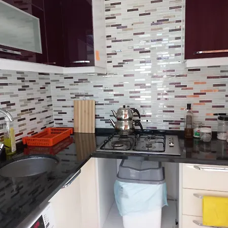 Adventurous Local אכסניה *