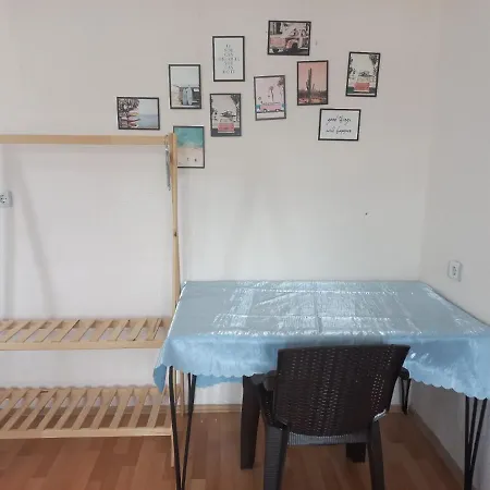 Albergue Adventurous Local