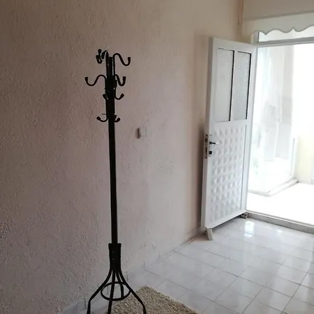 Albergue Adventurous Local