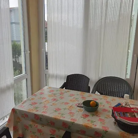 Adventurous Local אכסניה