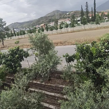 Adventurous Local אכסניה