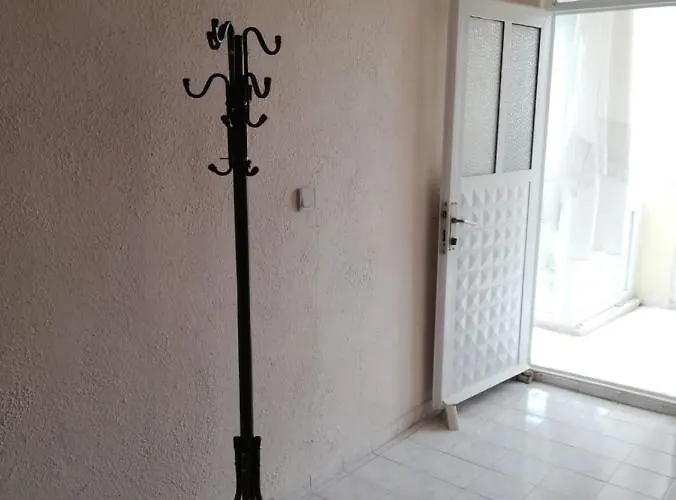 Hostel Adventurous Local