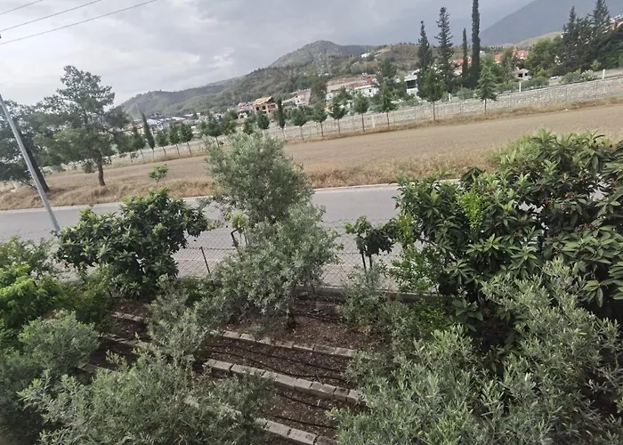 Adventurous Local Hostel